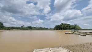 Foto: Sedimentasi yang terus menumpuk di Sungai Belayan, Kecamatan Kembang Janggut, Kabupaten Kutai Kartanegara.