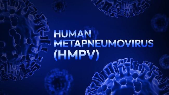 Ilustrasi Virus HMPV.